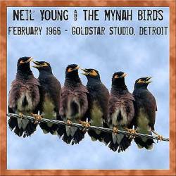 Neil Young : Detroit